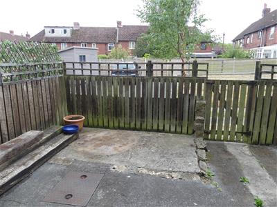 Picture 11